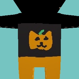 Pumpkin cat shirt