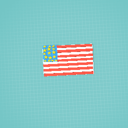 A small little terrible american flag