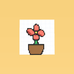 Flower n’ Pot