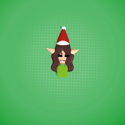 Santas helper gift