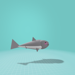Cute shark