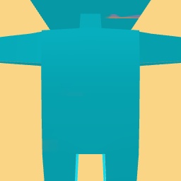 new costume