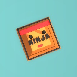 NINJA