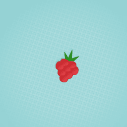 Raspberry is my favorite fruit