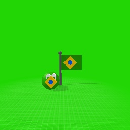 Brazil countyball