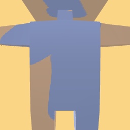 new costume