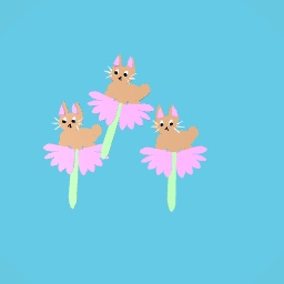 Cat flowers