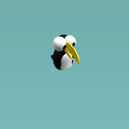 toucan