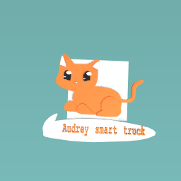 A cat for audrey