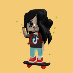 Yo wanna make a TicTok?