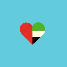 UAE flag