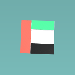 UAE flag