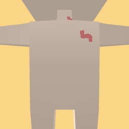 new costume
