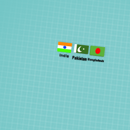 which flag is yours?