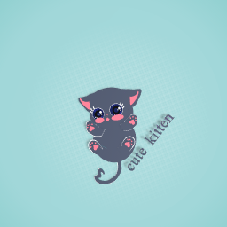 silvery black kitten