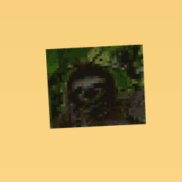 Sloth