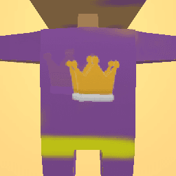 new costume copy copy