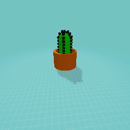Potted Cactus