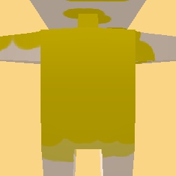 new costume