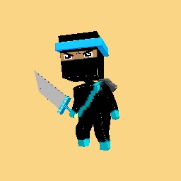 Ninja boy 2