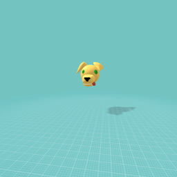 Golden retriever head