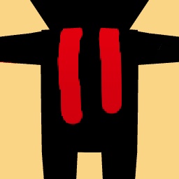 new costume