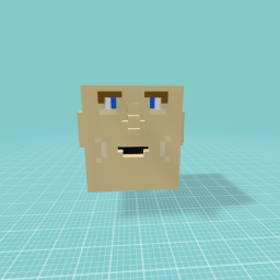 Simple head(blocker)