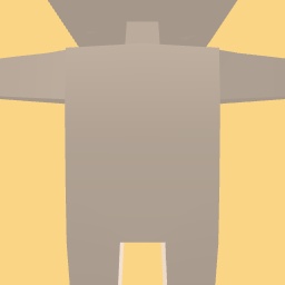 new costume