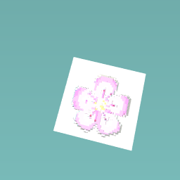 Cute pink flower!! OoO