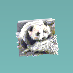 Pandas