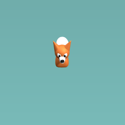 Fox orange