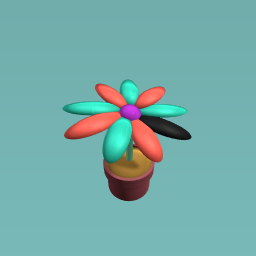 Multi colour flower