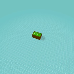 The flowers in a garden pot