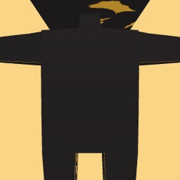 new costume