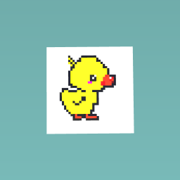 Ducky duck duck