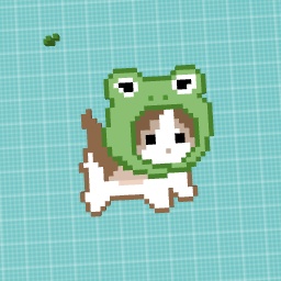 Froggy catttttt