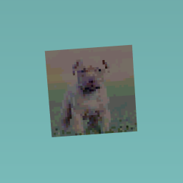 try guess what it is