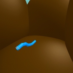 blue takorm