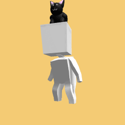 my cat
