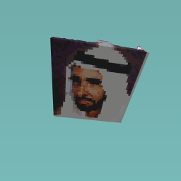 Sheikh Zayed