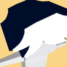 Chip/Zipster‘s hair FPE