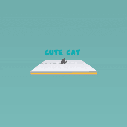 cute cat