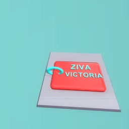 my dog`s new name  tag