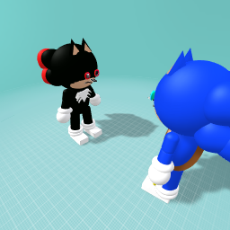 Sonic vs shadow