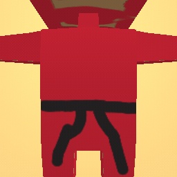 the red ninja