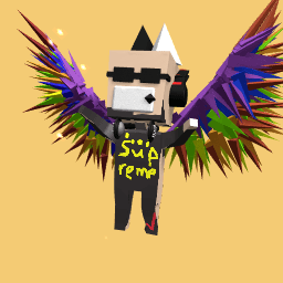 Tried to make my ROBLOX character