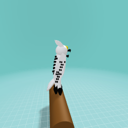 The African spotted owl