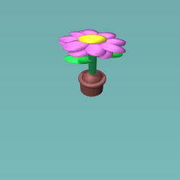 Lovley flower