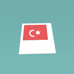 turky flag