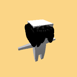 Boy hair (you can change the color)